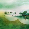 郑强 - 美丽的金孔雀