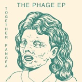 together PANGEA - Looked in Too
