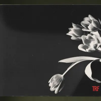 Unite - TRF