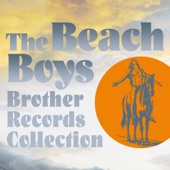 The Beach Boys - Long Promised Road