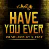 Have You Ever - Single album lyrics, reviews, download