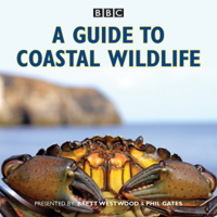 BBC Radio 4 - A Guide to Coastal Wildlife: The BBC Radio 4 series artwork