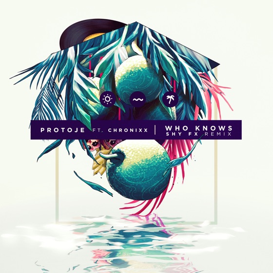 Cover artwork for Who Knows (feat. Chronixx) [SHY FX Remix]