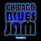 I Want All My Money Back - Chicago Blues Jam lyrics