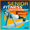 Senior Fitness Gentle Workout album lyrics, reviews, download
