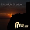 Moonlight Shadow (feat. Paulina) [Remixes]