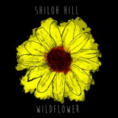 Shiloh Hill - The Artist