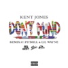 Don't Mind (Remix) [feat. Pitbull & Lil Wayne] - Single