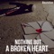 Nothing but a Broken Heart artwork