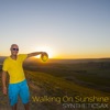 Syntheticsax - Walking on Sunshine (Extended Mix)