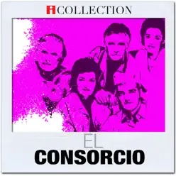 iCollection - El Consorcio