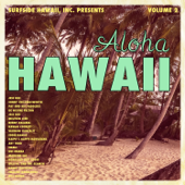 Surfside Hawaii, Inc. Presents: Aloha Hawaii, Vol. 2 - Verschiedene Interpreten