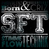 SFT - Stimme, Flow, Technik