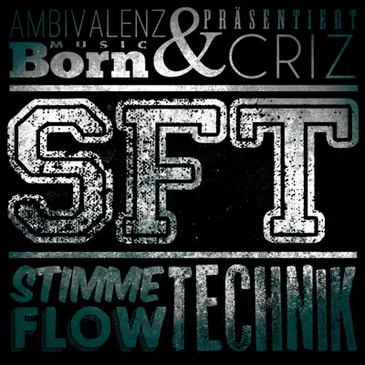 SFT - Stimme, Flow, Technik - BORN