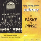 Syng Nye Og Gamle Salmer Til Påske Og Pinse, Vol. 2 artwork