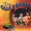 Trio Guayacan, 1995