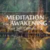 Stream & download Meditation for Awakening Your Self Conscience - Zen Music Collection (Inner Healer, Through Thought, Beliefs, The Balance Between Emotions & Behaviors) 50 Tracks of Relaxing Tunes