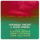 Véronique Vincent - Je Pleure Tout Le Temps (Burnt Friedman Version)