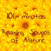 101 Minutes Relaxing Nature Sounds Music for Sleeping, Relaxation, Mindfulness Meditation, Reiki, Autogenic Training & Yoga Savasana (Bonus Track Relax Song) - Buddha Tribe