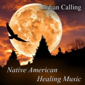 Native American Healing Music artwork