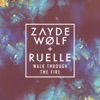 Walk Through the Fire (feat. Ruelle) - Single