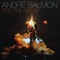 Feel the Fire - Andre Salmon lyrics
