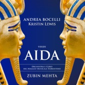 Aida artwork