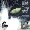 What Is Your Name? - Single album lyrics, reviews, download