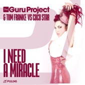 I Need a Miracle (The Guru Project & Tom Franke vs. Coco Star) [Extended] artwork