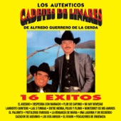 Los Auténticos artwork