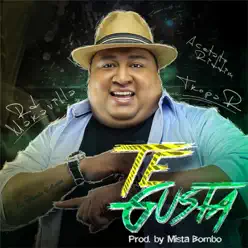 Te Gusta - Single - RD Maravilla Te Gusta - Single - RD Maravilla