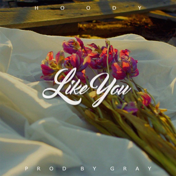 Cover artwork for Like You