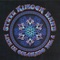 Electric Wildlife - Steve Kimock Band lyrics