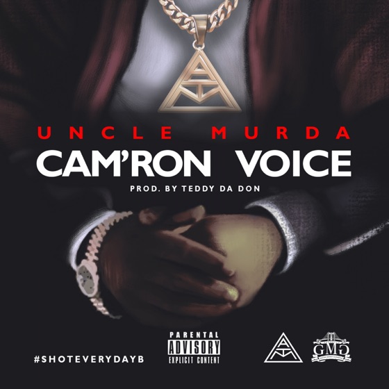 Cover artwork for Cam'ron Voice