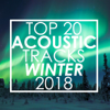Top 20 Acoustic Tracks Winter 2018 (Instrumental) - Guitar Tribute Players