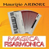 Magica fisarmonica artwork