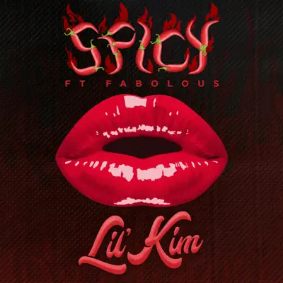 Spicy (feat. Fabolous) - Single - Lil' Kim