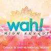 High Energy Dance & Instrumental Mixes Vol. 1 album lyrics, reviews, download