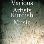 Kurdish Music artwork