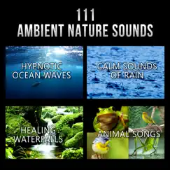 Ambient Music Therapy Song Lyrics