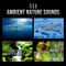 Pure Nature Sounds for Energy (Yoga) - Sea Tranquility Academy lyrics
