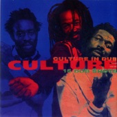 Culture in Dub artwork