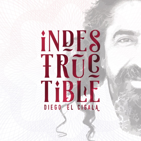 Cover artwork for Indestructible
