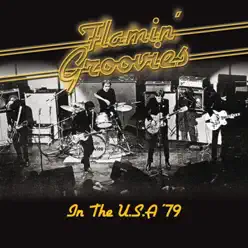 In the U.S.A. '79 (Remastered) [Live - Keystone, Palo Alto, CA Aug '79] - Flamin' Groovies
