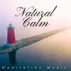 Natural Calm: Meditation Music, Deep Sleep, Birds Songs, Nature Sounds for Relaxation Stress, Inner Harmony and Bliss album lyrics, reviews, download