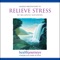Introduction Meditations to Relieve Stress - Belleruth Naparstek lyrics