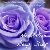 Meditation Deep Sleep - Peaceful Sleep Inducing Songs to Calm Your Mind and Sleep All Night Long artwork
