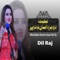 Baran Da Yarane - Dil Raj lyrics
