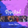 Rosa y Azul (feat. Sinhora Band)