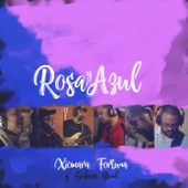 Xiomara Fortuna - Rosa y Azul